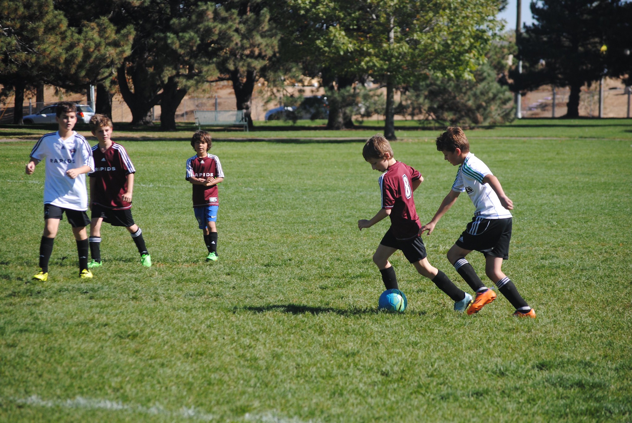 Youth Soccer League
