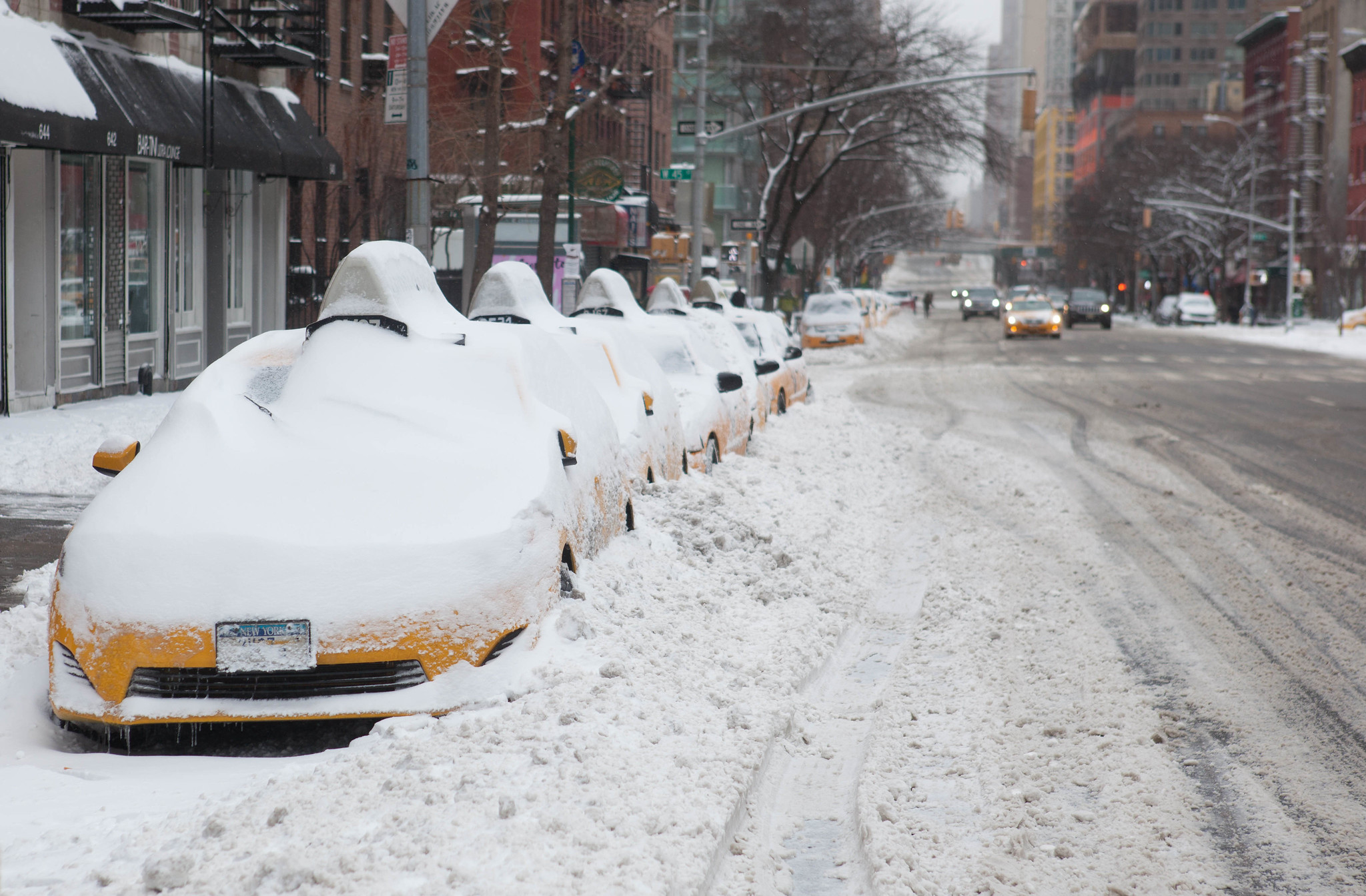 Buffalo Blizzard